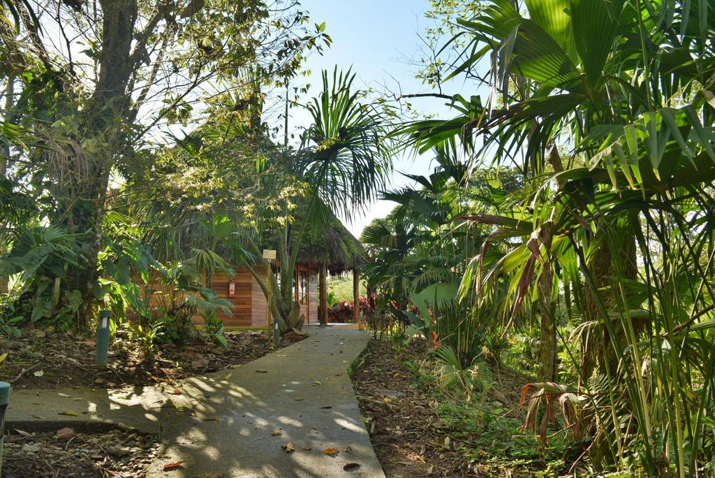 Huasquila Amazon Lodge Cotundo Extérieur photo