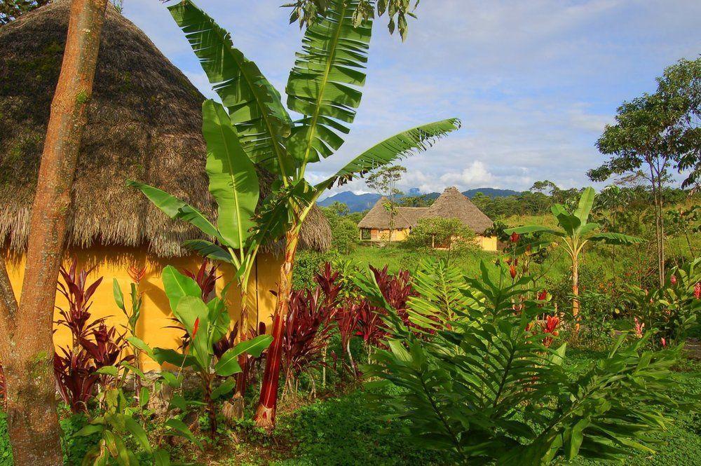 Huasquila Amazon Lodge Cotundo Extérieur photo