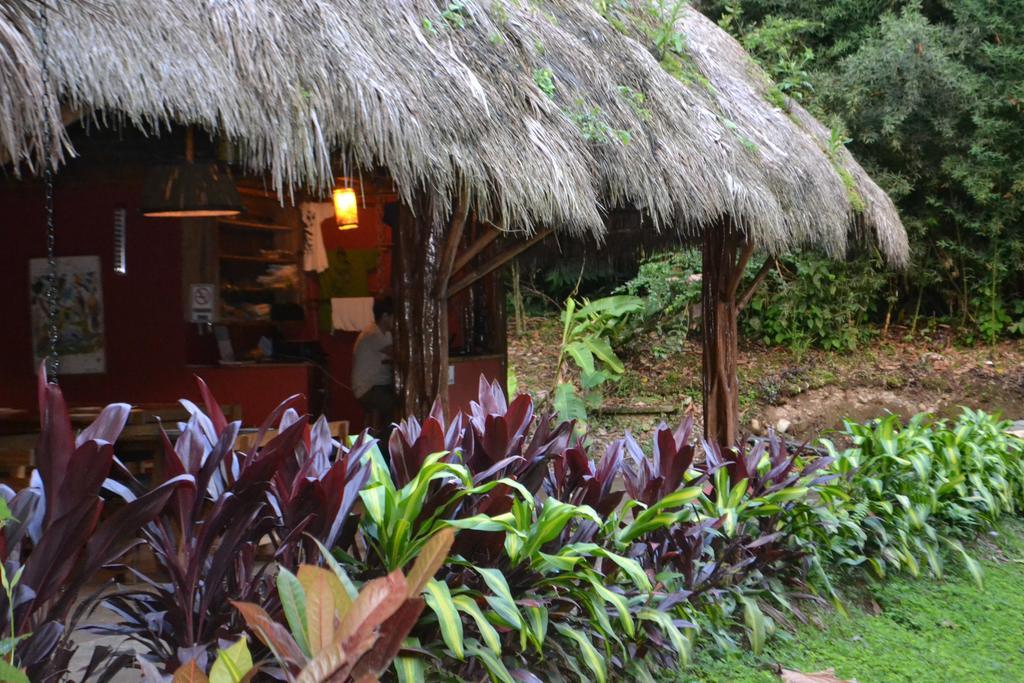 Huasquila Amazon Lodge Cotundo Extérieur photo