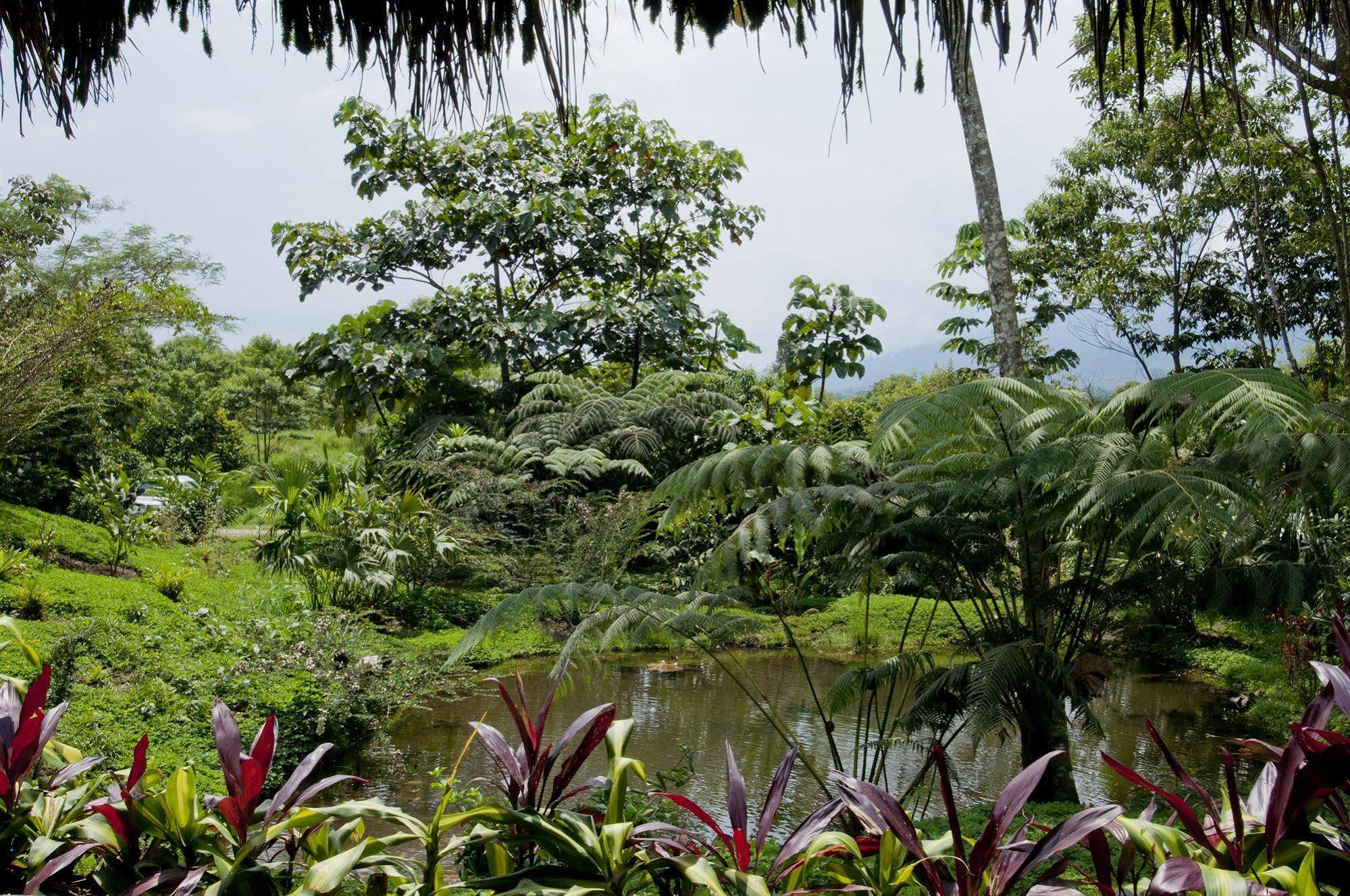 Huasquila Amazon Lodge Cotundo Extérieur photo
